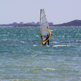 alcazares