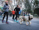 San Silvestre de Albacete 2014 - David Cantos